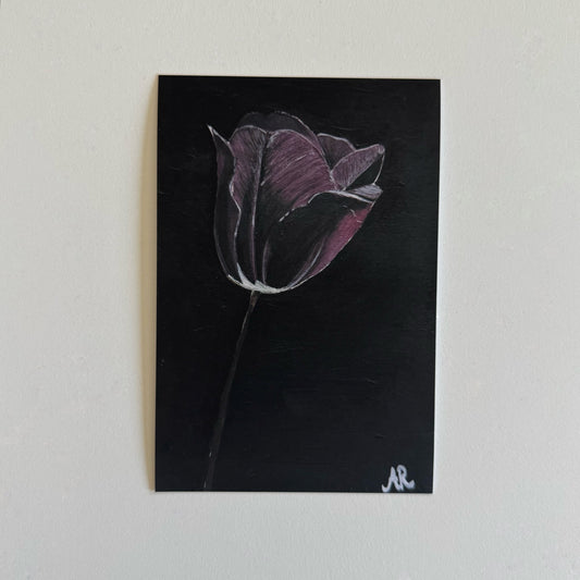 4"x6" Black Tulip Art Print