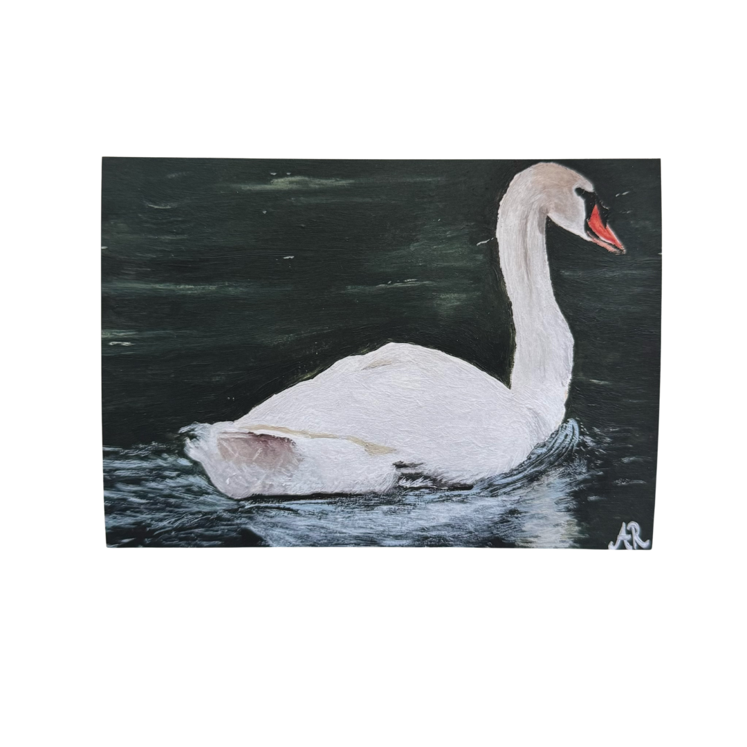 5"x7" White Swan Art Print