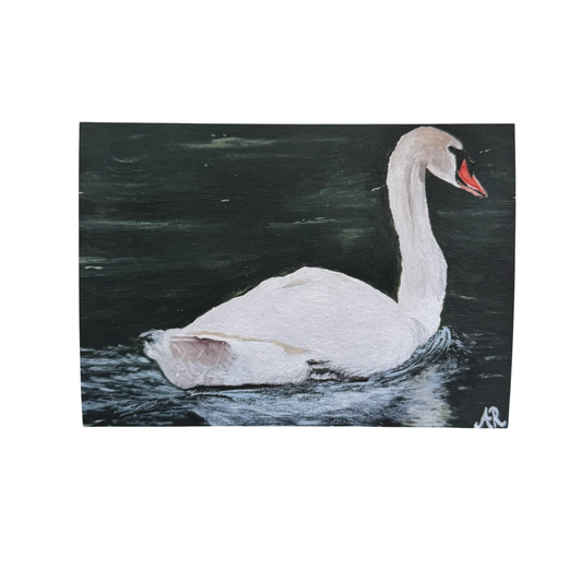 5"x7" White Swan Art Print