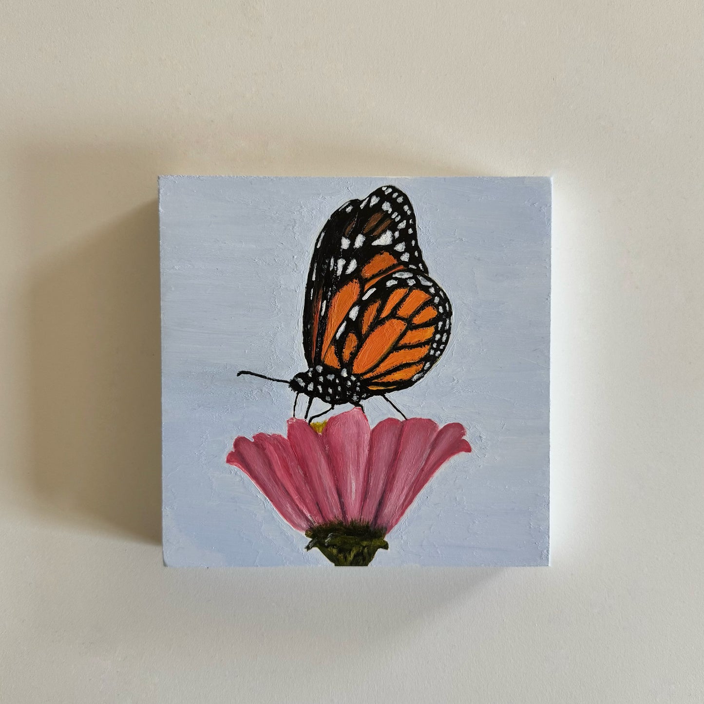Original 5"x5" Monarch Acrylic Painting